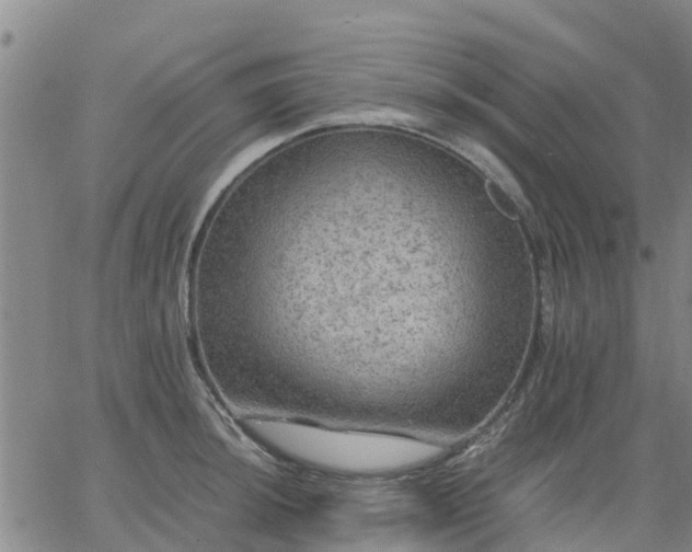 X0000063461044200601271559