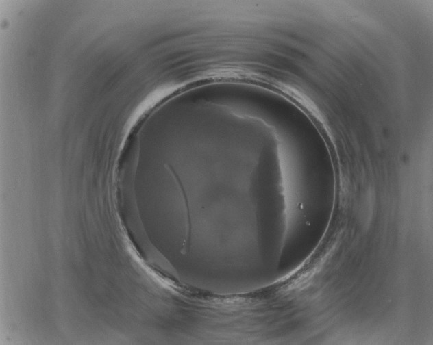 X0000063461045200601271559