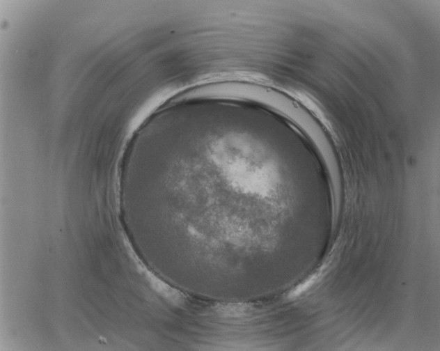 X0000063461046200601271559