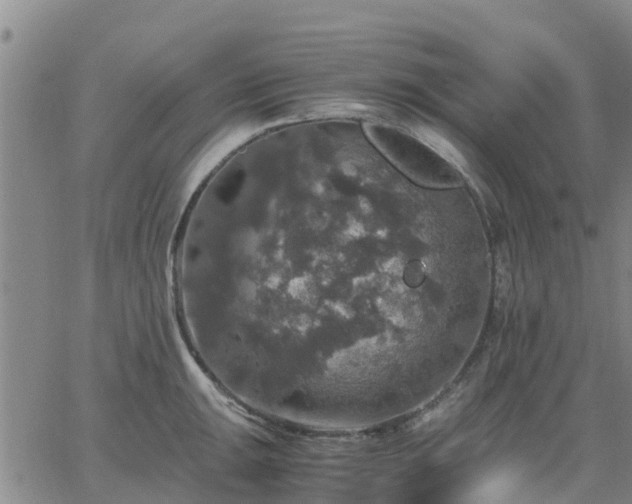 X0000063461047200601271559