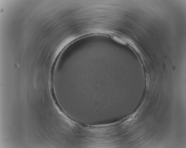 X0000063461048200601271559