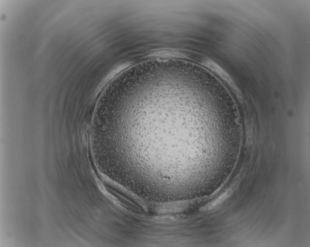 X0000063461049200601271559