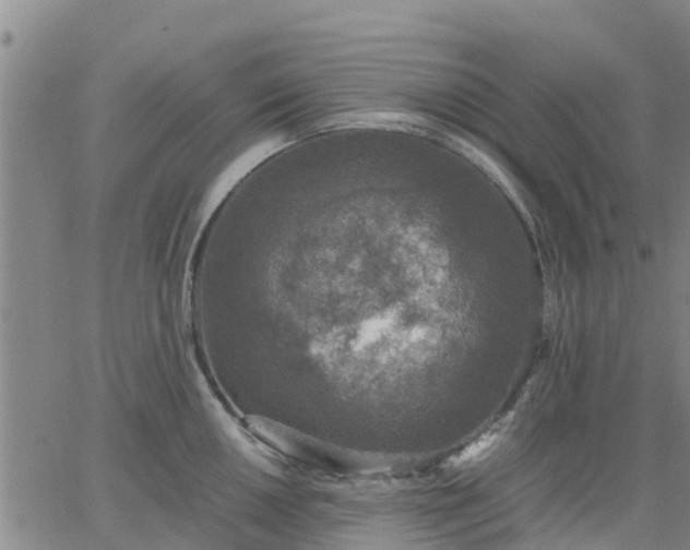 X0000063461050200601271559