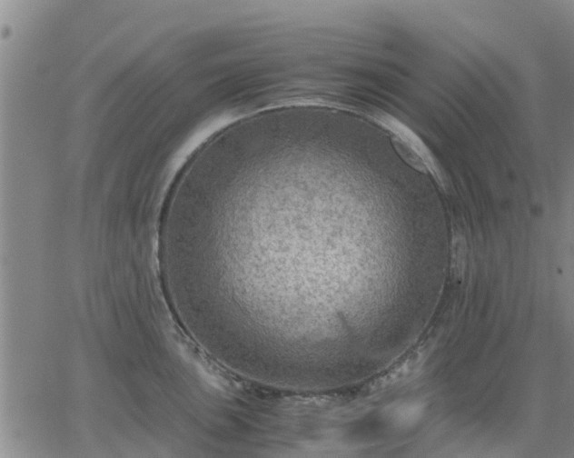 X0000063461051200601271559