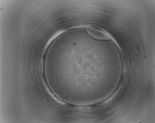 X0000063461053200601271559