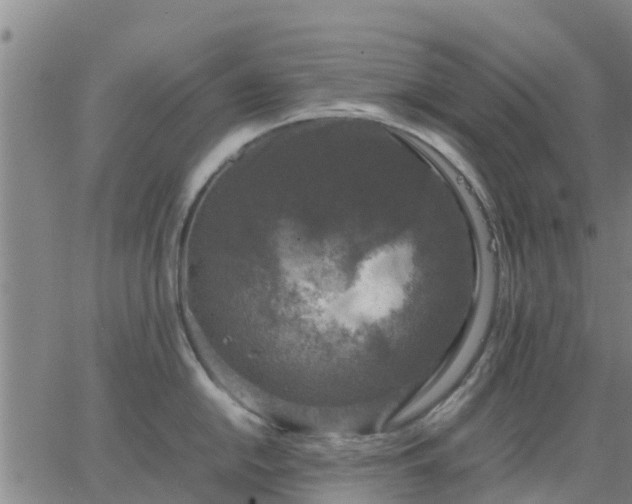 X0000063461054200601271559