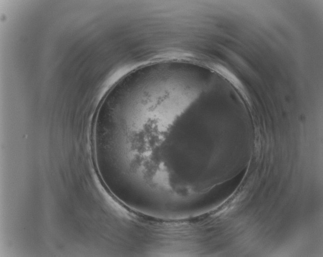 X0000063461055200601271559