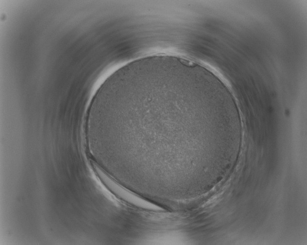 X0000063461056200601271559