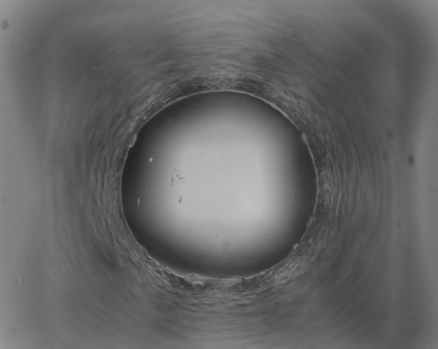 X0000063461057200601271558