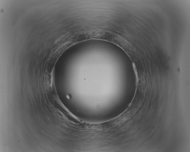 X0000063461058200601271558