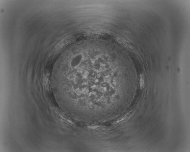 X0000063461059200601271558