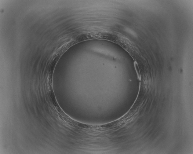 X0000063461060200601271558