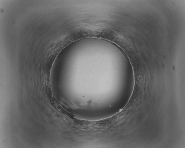 X0000063461061200601271558