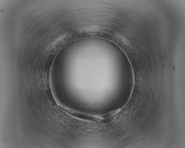 X0000063461062200601271558