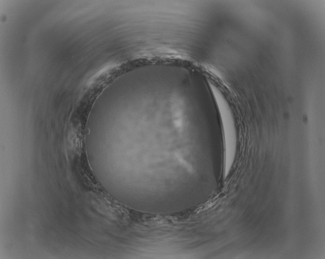 X0000063461063200601271558