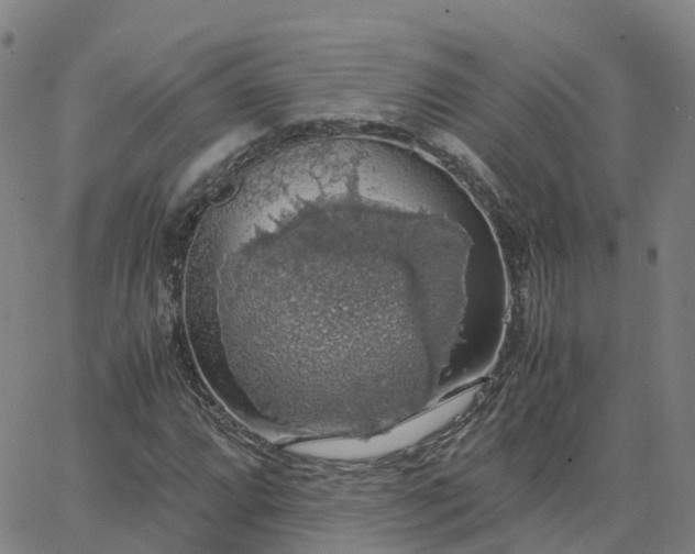 X0000063461064200601271558