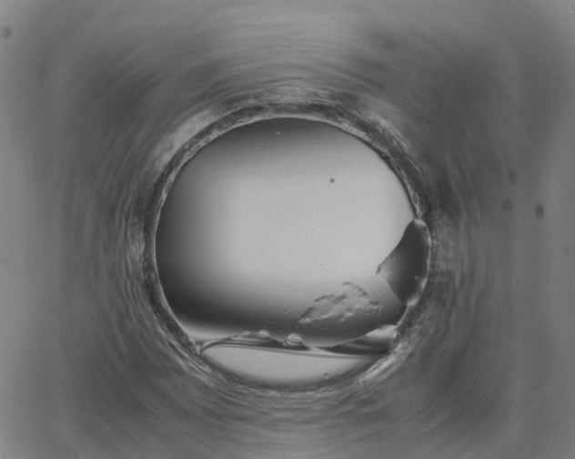 X0000063461065200601271558