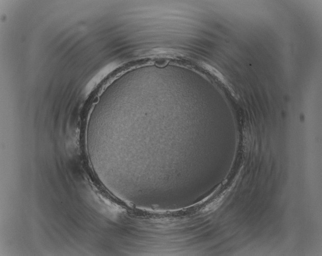 X0000063461066200601271558