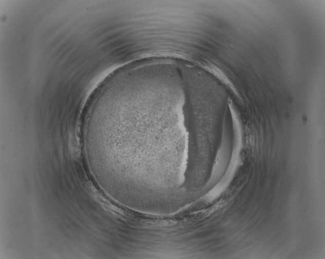 X0000063461068200601271558