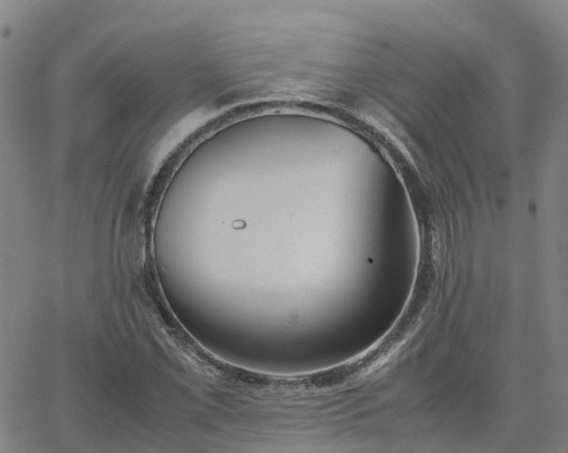 X0000063461069200601271558