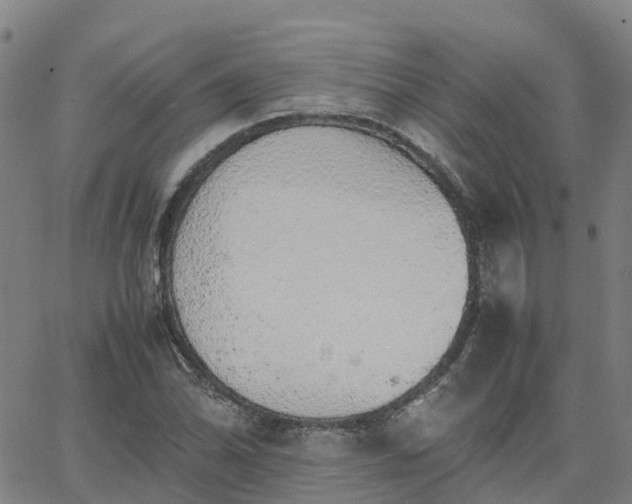 X0000063461070200601271558