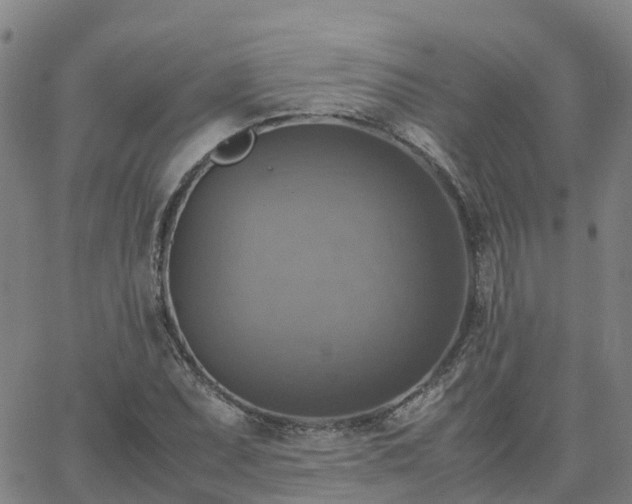 X0000063461071200601271558