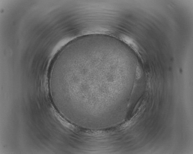 X0000063461072200601271558