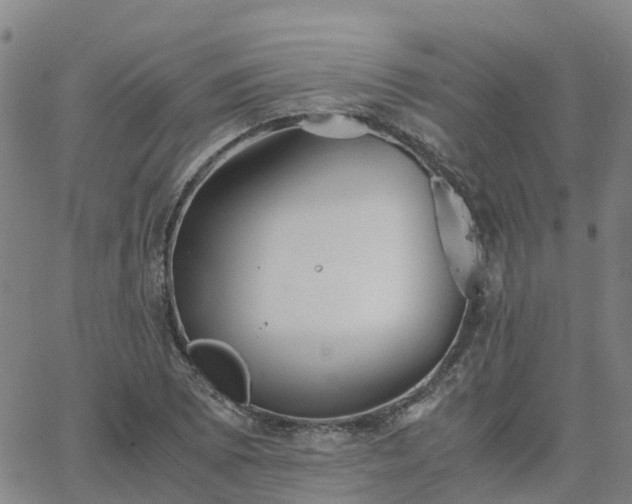 X0000063461073200601271558