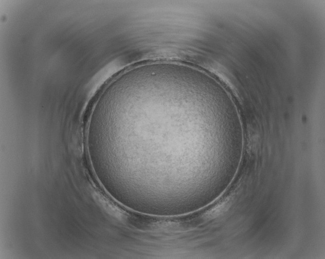 X0000063461075200601271558