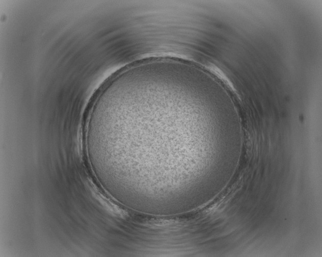 X0000063461076200601271558