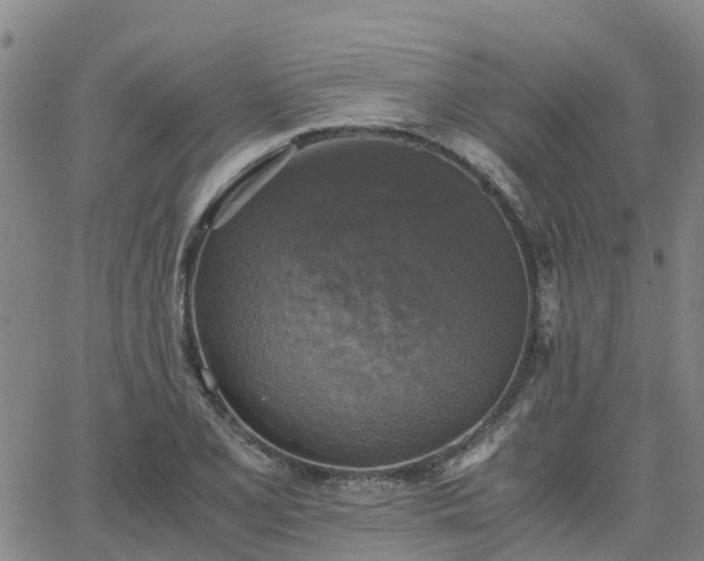 X0000063461077200601271558