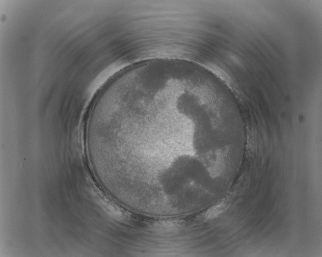 X0000063461078200601271558