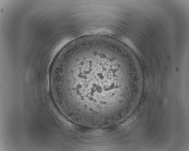 X0000063461079200601271558