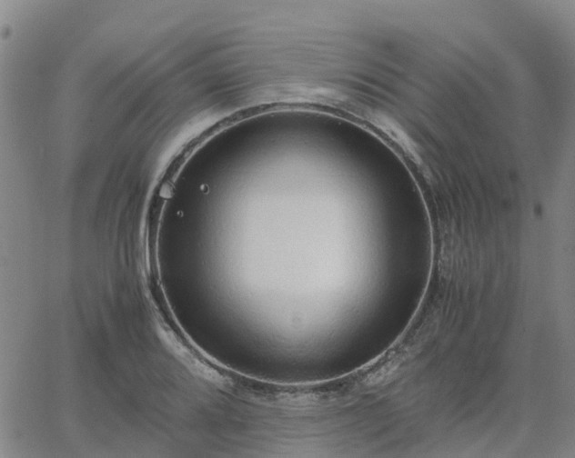 X0000063461080200601271558