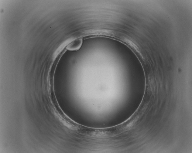 X0000063461082200601271558