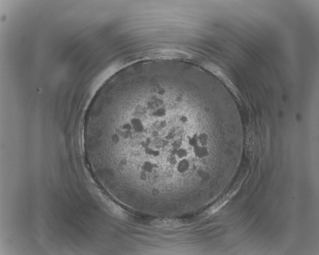 X0000063461083200601271558