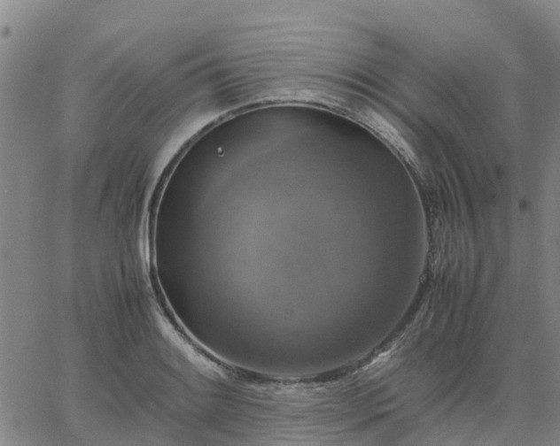 X0000063461084200601271558