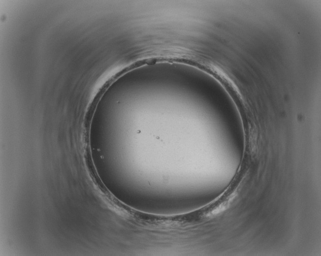 X0000063461085200601271558