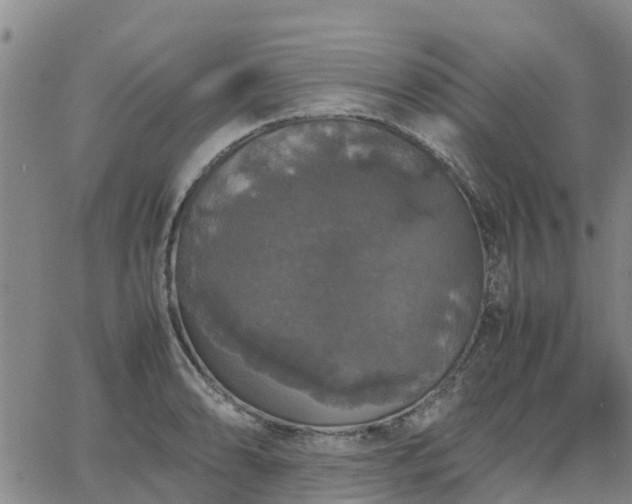 X0000063461086200601271558