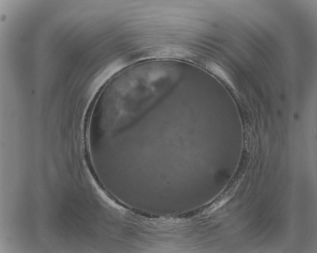 X0000063461087200601271558