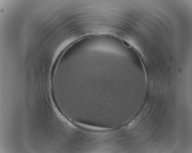 X0000063461088200601271558