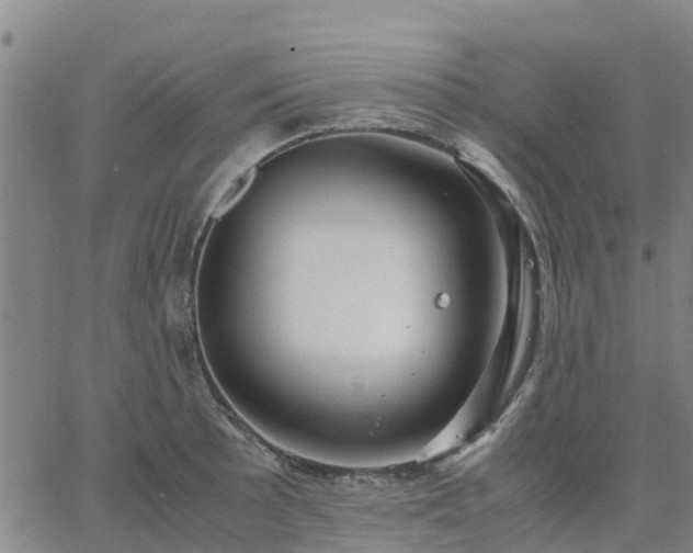 X0000063461089200601271558