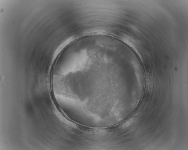 X0000063461090200601271558