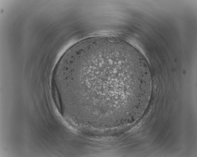 X0000063461091200601271558