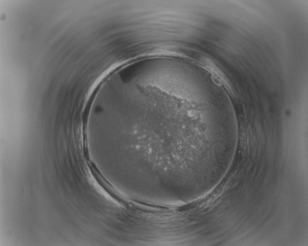 X0000063461092200601271558