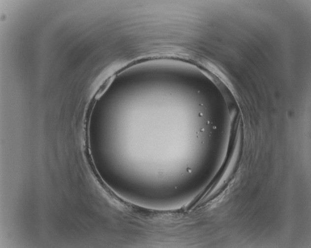 X0000063461093200601271558