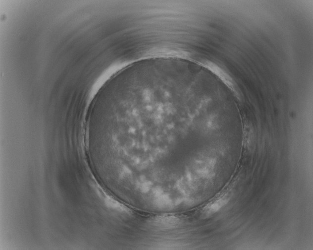 X0000063461094200601271558