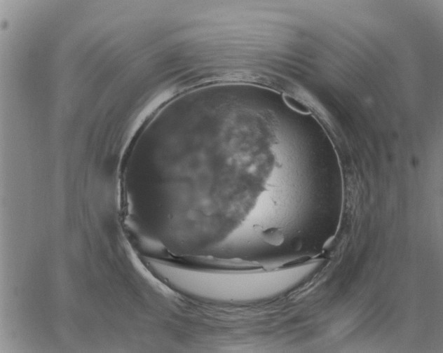 X0000063461095200601271558