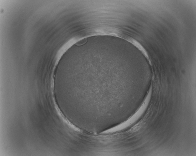 X0000063461096200601271558