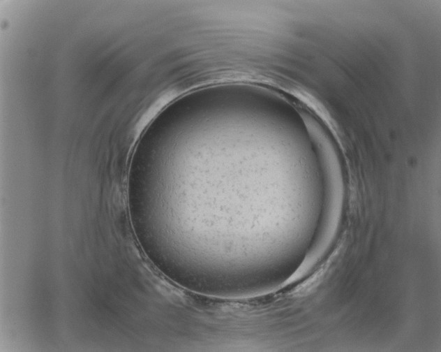 X0000063461097200601271558